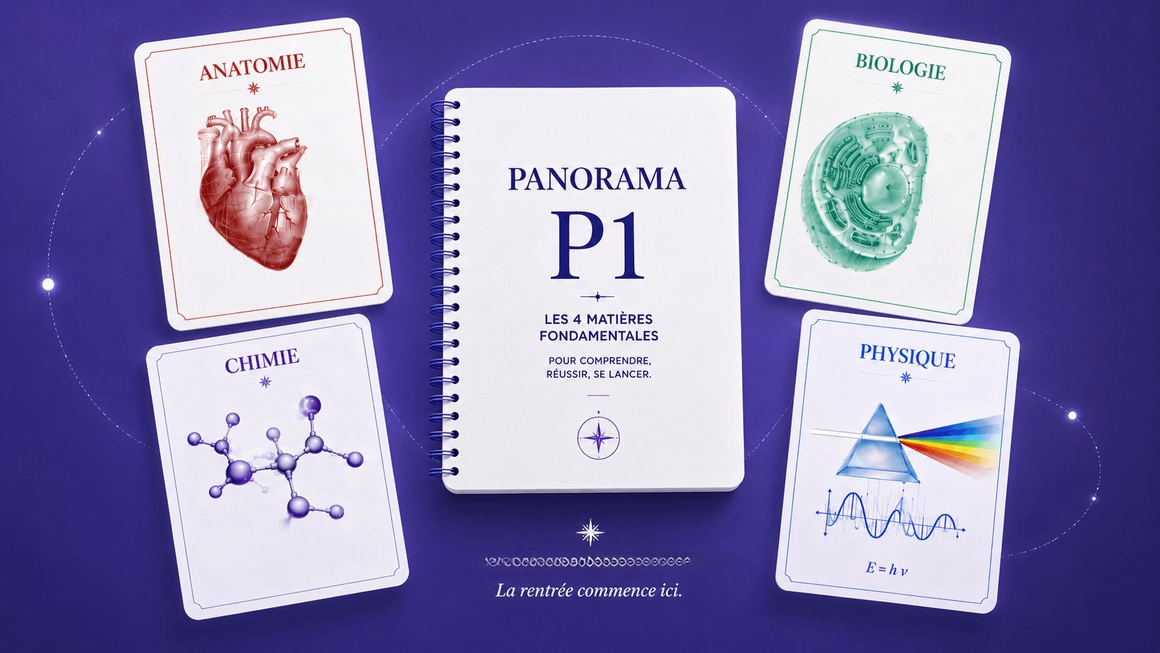 Panorama P1 — les 4 matières en un coup d'œil